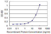 ABCG1 Antibody - Detection limit for recombinant GST tagged ABCG1 is 1 ng/ml as a capture antibody.