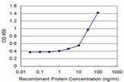 AMOG / ATP1B2 Antibody - Detection limit for recombinant GST tagged ATP1B2 is approximately 3 ng/ml as a capture antibody.