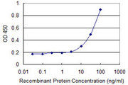 ANT2 / SLC25A5 Antibody - Detection limit for recombinant GST tagged SLC25A5 is 3 ng/ml as a capture antibody.