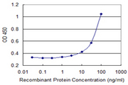 ATP8B1 / BRIC Antibody - Detection limit for recombinant GST tagged ATP8B1 is 1 ng/ml as a capture antibody.
