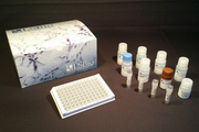 Cortisol ELISA Kit