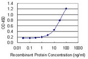 CA6 / Carbonic Anhydrase 6 Antibody - Detection limit for recombinant GST tagged CA6 is 0.3 ng/ml as a capture antibody.