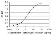 Calneuron-1 / CALN1 Antibody - Detection limit for recombinant GST tagged CALN1 is 0.03 ng/ml as a capture antibody.