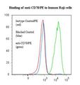 CD27L / CD70 Antibody - Flow cytometry of CD70 antibody This image was taken for the unconjugated form of this product. Other forms have not been tested.
