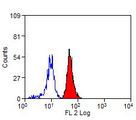 CD300A Antibody - Human peripheral blood monocytes stained with Mouse anti-Human CD300a:RPE This image was taken for the unconjugated form of this product. Other forms have not been tested.