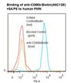 CEACAM8 / CD66b Antibody - Flow cytometry of CEACAM8 / CD66b antibody This image was taken for the unconjugated form of this product. Other forms have not been tested.