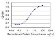 CLGN / Calmegin Antibody - Detection limit for recombinant GST tagged CLGN is 0.1 ng/ml as a capture antibody.