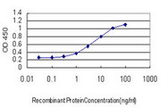 Complement C4b Antibody - Detection limit for recombinant GST tagged C4B is approximately 0.1 ng/ml as a capture antibody.