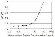 CXCL1 / GRO Alpha Antibody - Detection limit for recombinant GST tagged CXCL1 is 1 ng/ml as a capture antibody.