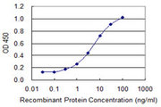 CYLC1 Antibody - Detection limit for recombinant GST tagged CYLC1 is 0.1 ng/ml as a capture antibody.