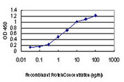 DDIT3 / CHOP Antibody - Detection limit for recombinant GST tagged DDIT3 is approximately 0.03 ng/ml as a capture antibody.