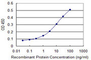 DUSP1 / MKP1 Antibody - Detection limit for recombinant GST tagged DUSP1 is 0.3 ng/ml as a capture antibody.