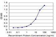 FBP / FOLR2 Antibody - Detection limit for recombinant GST tagged FOLR2 is approximately 1 ng/ml as a capture antibody.