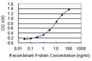 FECH / Ferrochelatase Antibody - Detection limit for recombinant GST tagged FECH is 0.03 ng/ml as a capture antibody.