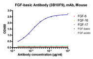 FGF2 / Basic FGF Antibody - Cross reactivity analysis of FGF-basic Antibody (3B10F9), mAb, Mouse with FGF-6, FGF-16, FGF-17, FGF-basic and FGF-acidic