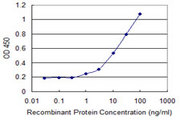 GM2A Antibody - Detection limit for recombinant GST tagged GM2A is 0.3 ng/ml as a capture antibody.