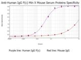 Human IgG Fc Antibody - ELISA results of purified Goat anti-Human IgG F(c) antibody (min x Mouse serum proteins) tested against purified Human IgG F(c)  Each well was coated in duplicate with 1.0 µg of Human IgG F(c) as well as Mouse IgG  The starting dilution of antibody was 5µg/ml and the X-axis represents the Log10 of a 3-fold dilution. This titration is a 4-parameter curve fit where the IC50 is defined as the titer of the antibody. Assay performed using 3% fish gelatin as blocking buffer, Donkey anti-Goat IgG Antibody Peroxidase Conjugated (Min X Ch GP Ham Hs Ms Rb & Rt Serum Proteins) and TMB substrate