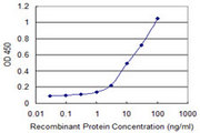 HLA-DQA1 Antibody - Detection limit for recombinant GST tagged HLA-DQA1 is 0.3 ng/ml as a capture antibody.