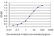 HPMS1 / PMS1 Antibody - Detection limit for recombinant GST tagged PMS1 is approximately 0.03 ng/ml as a capture antibody.