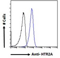 HTR2A / 5-HT2A Receptor Antibody - Goat Anti-HTR2A Antibody Flow cytometric analysis of paraformaldehyde fixed A549 cells (blue line), permeabilized with 0.5% Triton. Primary incubation 1hr (10ug/ml) followed by Alexa Fluor 488 secondary antibody (1ug/ml). IgG control: Unimmunized goat IgG (black line) followed by Alexa Fluor 488 secondary antibody.