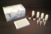 fT4 / Free Thyroxine ELISA Kit