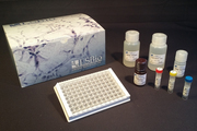 PR / Progesterone Receptor ELISA Kit