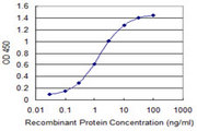 IFIT3 Antibody - Detection limit for recombinant GST tagged IFIT3 is 0.03 ng/ml as a capture antibody.