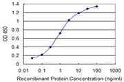 IL27 Antibody - Detection limit for recombinant GST tagged IL27 is 0.03 ng/ml as a capture antibody.