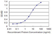 IL4R / CD124 Antibody - Detection limit for recombinant GST tagged IL4R is 0.1 ng/ml as a capture antibody.