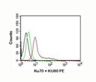 Ku70+Ku80 / XRCC6+XRCC5 Antibody - Ku70 + Ku80 antibody flow cytometry K562 cells.  This image was taken for the unmodified form of this product. Other forms have not been tested.