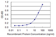 LRAT Antibody - Detection limit for recombinant GST tagged LRAT is 0.3 ng/ml as a capture antibody.