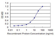 LRG1 / LRG Antibody - Detection limit for recombinant GST tagged LRG1 is 0.3 ng/ml as a capture antibody.