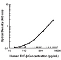LTA / TNF Beta Antibody