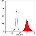 Macrophage Antibody - Staining of human peripheral blood granulocytes with MOUSE ANTI HUMAN MACROPHAGES: FITC. Leucoperm (Fix & Perm). This image was taken for the unconjugated form of this product. Other forms have not been tested.