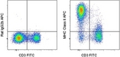 MHC Class II IA/IE Antibody - Staining of C57Bl/6 splenocytes with FITC anti-mouse CD3e (145-2C11) (LS-C105774) and 0.015 ug of APC Rat IgG2b Isotype Control (left) or 0.015 ug of APC anti-mouse Class II (M5/114.15.2) (right). Cells in the lymphocyte gate were used for analysis. This image was taken for the unconjugated form of this product. Other forms have not been tested.