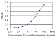 MLLT6 Antibody - Detection limit for recombinant GST tagged MLLT6 is 0.1 ng/ml as a capture antibody.