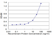 MMP23 Antibody - Detection limit for recombinant GST tagged MMP23B is approximately 3 ng/ml as a capture antibody.