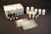 OPRD1 / Delta Opioid Receptor ELISA Kit