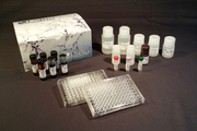 SRC ELISA Kit