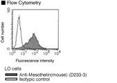 MSLN / Mesothelin Antibody