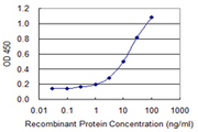 MT2A / Metallothionein 2A Antibody - Detection limit for recombinant GST tagged MT2A is 0.3 ng/ml as a capture antibody.