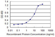 NBP / NUBP1 Antibody - Detection limit for recombinant GST tagged NUBP1 is 0.3 ng/ml as a capture antibody.