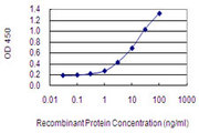 NRAP Antibody - Detection limit for recombinant GST tagged NRAP is 0.1 ng/ml as a capture antibody.