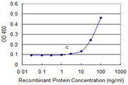 OMG / OMGP Antibody - Detection limit for recombinant GST tagged OMG is approximately 10 ng/ml as a capture antibody.