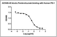 Pembrolizumab Antibody - Anti-Pembrolizumab antibody blocks Pembrolizumab binding with Human PD-1 recombinant protein (Z03370, PD 1-Fc Chimera, Human). Coating antigen: Pembrolizumab, 1 ug/ml. PD 1-Fc-biotin final concentration: 20 ng/ml. Anti-Pembrolizumab antibody dilution start from 30 ug/ml, IC50= 0.37 µg/ml.