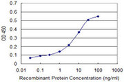 PI3 / Elafin Antibody - Detection limit for recombinant GST tagged PI3 is approximately 0.1 ng/ml as a capture antibody.