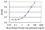PIGC Antibody - Detection limit for recombinant GST tagged PIGC is 0.3 ng/ml as a capture antibody.