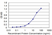 PLAG1 Antibody - Detection limit for recombinant GST tagged PLAG1 is approximately 1 ng/ml as a capture antibody.