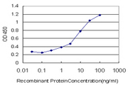 PLEC / Plectin Antibody - Detection limit for recombinant GST tagged PLEC1 is approximately 0.3 ng/ml as a capture antibody.