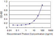 PMCH / MCH Antibody - Detection limit for recombinant GST tagged PMCH is 1 ng/ml as a capture antibody.